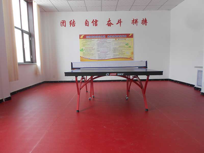 北京首鋼技術(shù)研究院乒乓球地膠 北京首鋼技術(shù)研究院乒乓球地膠